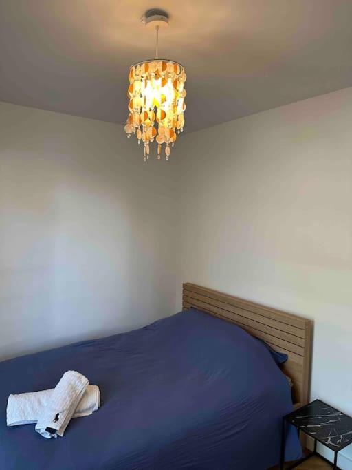 Charmant T3 Moderne Climatise Villeurbanne Extérieur photo